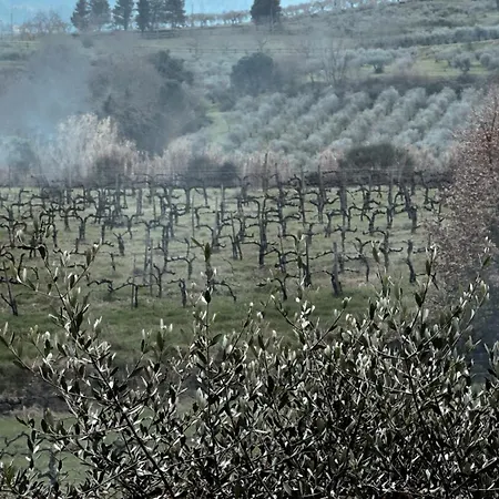 Borgo Di Erboli 4* كافريجيليا